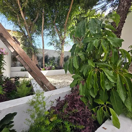 Kentrikon 1924 Boutique Hotel, Old Town