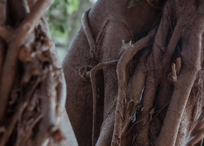 Отель Kentrikon 1924 Boutique Hotel, Old Town 4*