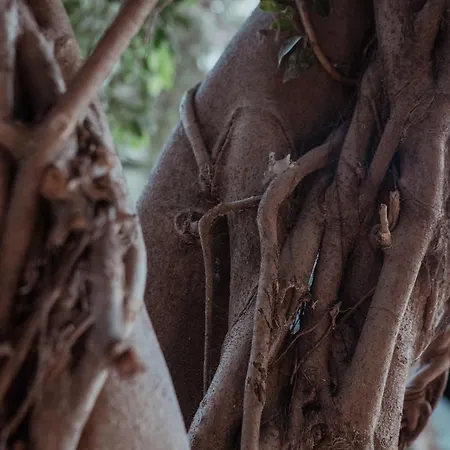 Hotel Kentrikon 1924 Boutique Hotel, Old Town 4*