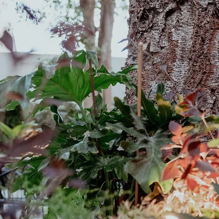 Kentrikon 1924 Boutique Hotel, Old Town 4*