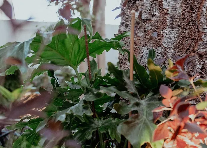 Kentrikon 1924 Boutique Hotel, Old Town 4*